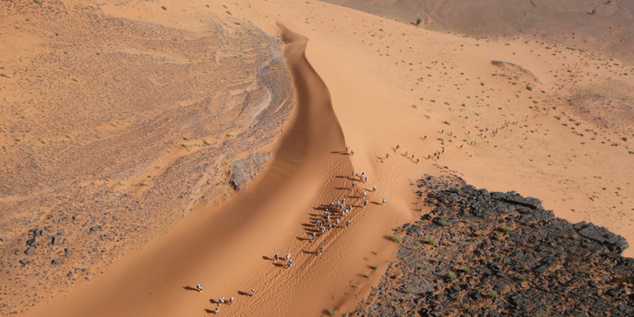 в какой пустыне проводится шестидневный сверхмарафон marathon des sables с фр песчаный марафон. 1599736342114376079. в какой пустыне проводится шестидневный сверхмарафон marathon des sables с фр песчаный марафон фото. в какой пустыне проводится шестидневный сверхмарафон marathon des sables с фр песчаный марафон-1599736342114376079. картинка в какой пустыне проводится шестидневный сверхмарафон marathon des sables с фр песчаный марафон. картинка 1599736342114376079. Об одном из самых трудных забегов на планете рассказывает его основатель Патрик Бауэр