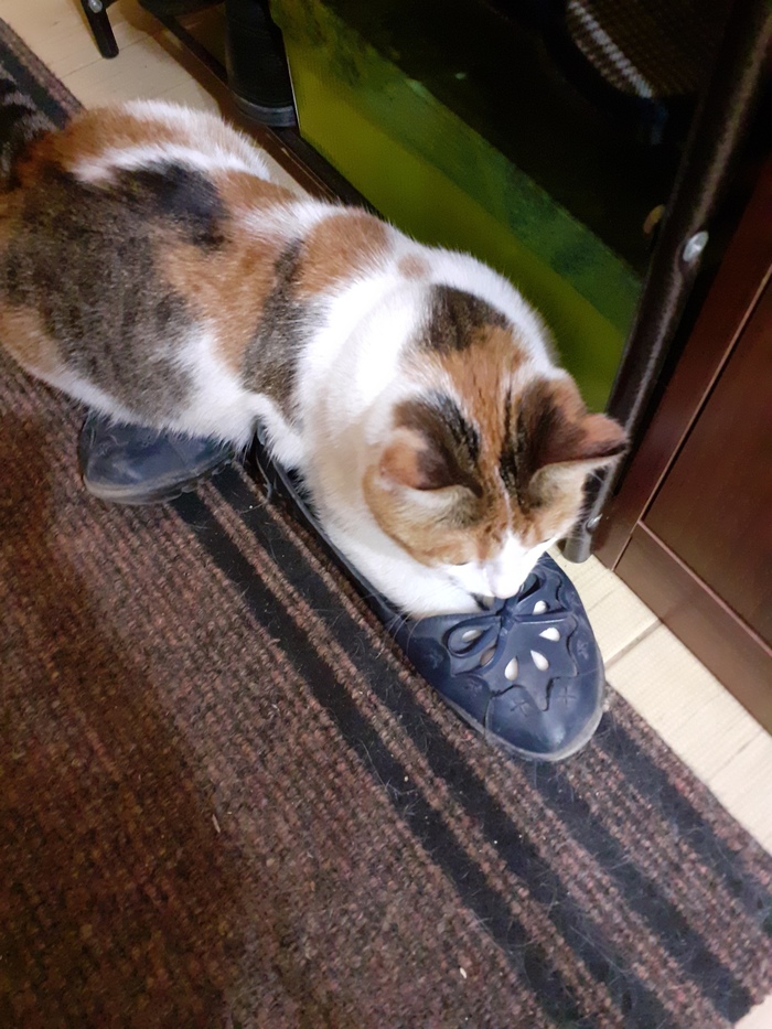 Что мое -то мое, что твое -то наше