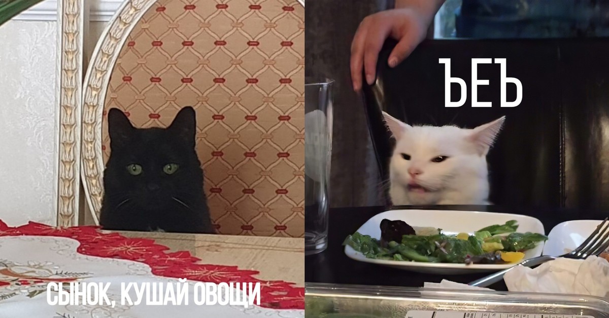 Не люблю и не ем овощи. Котик овощ Мем. Кот с овощами Мем. Коты мемы с овощами. Кот не хочет есть овощи Мем.