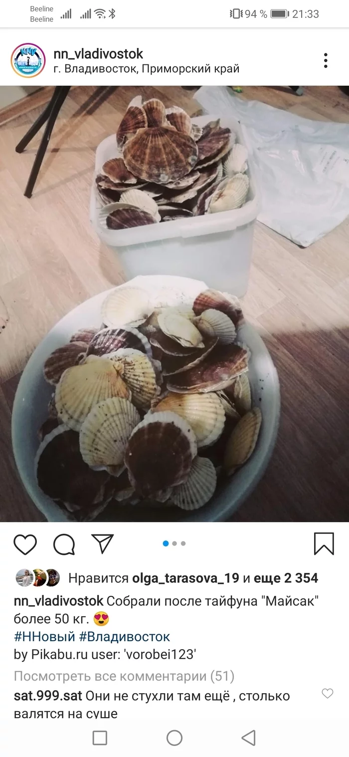 Injustice towards Pikabu users!!! - My, Vladivostok, Scallop, Injustice, Delicacy, Reply to post, Longpost, Copyright, Screenshot, Negative, Instagram, A complaint