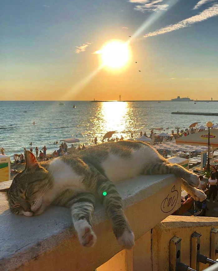 ���������� �������