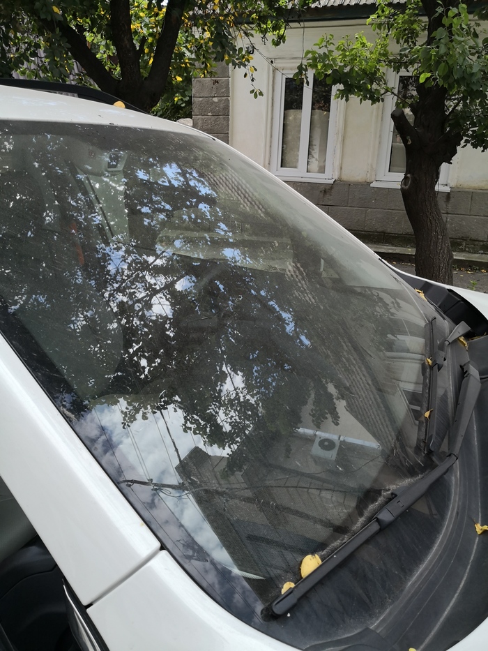 Первое путешествие в Пятигорск Пятигорск, Кавказские Минеральные Воды, Видео, Длиннопост