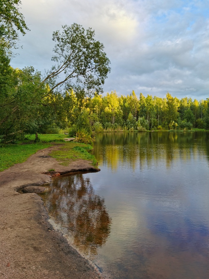 Золотой закат Мобильная фотография, Осень, Парк Сосновка, Длиннопост