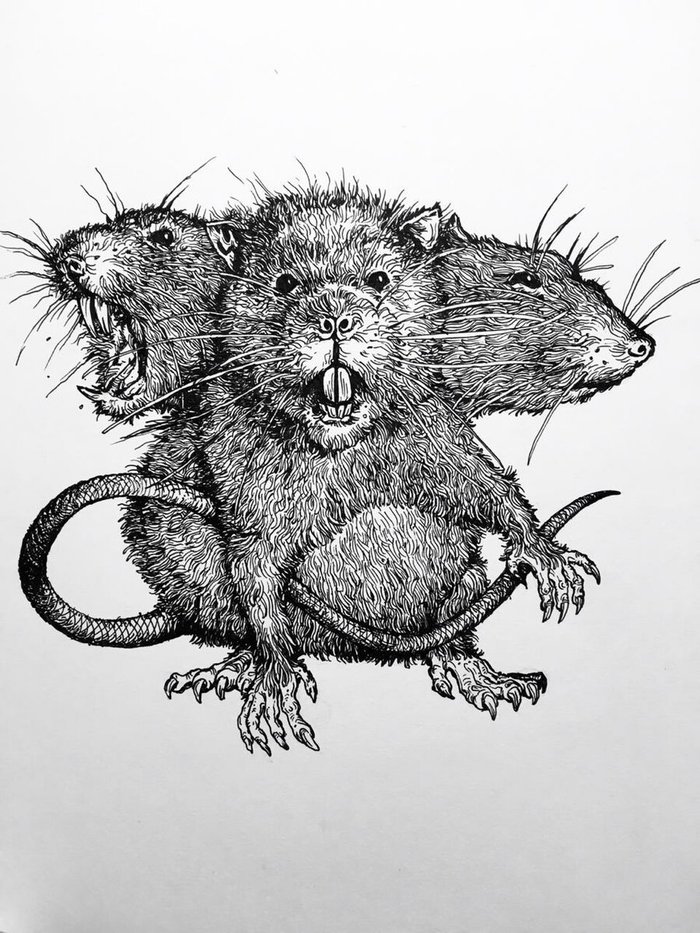 ��������� �������