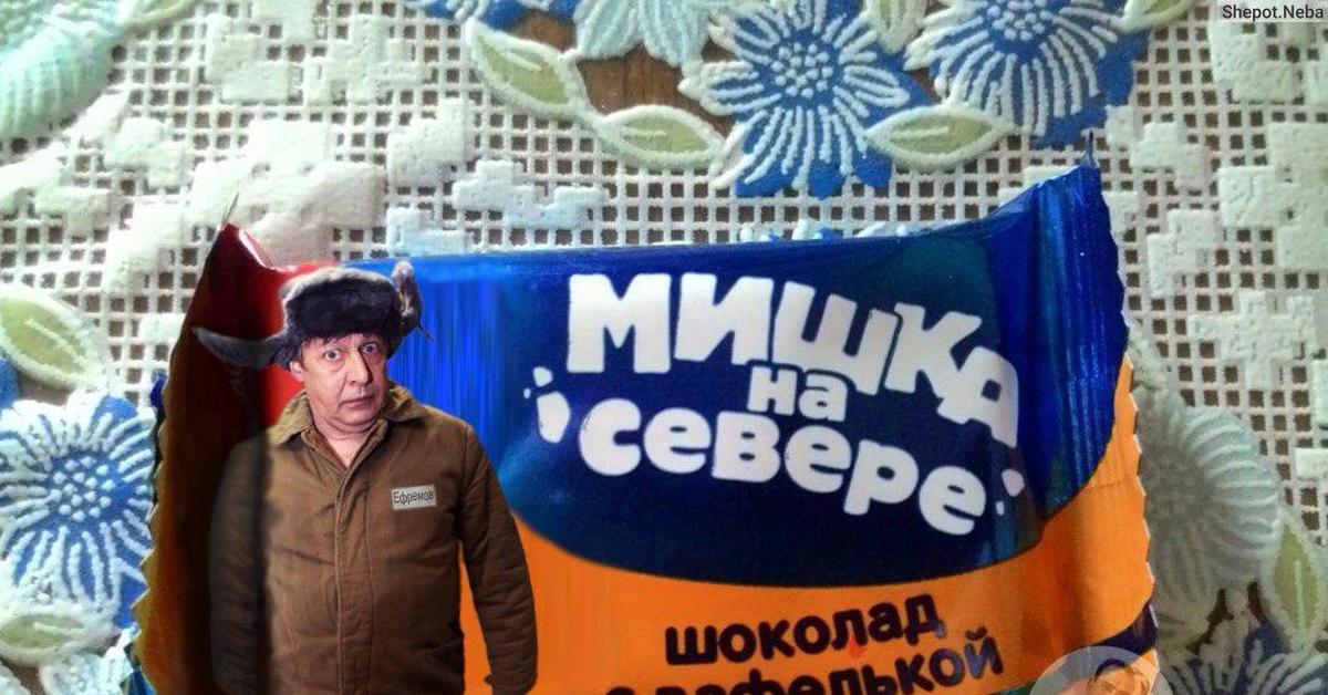 Прикольные картинки мишка на севере