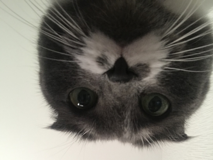    ... , , , , 