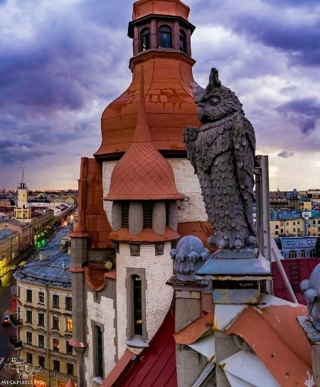 Guardian of St. Petersburg - Saint Petersburg, Owl, Building, Architecture, Unusual, beauty