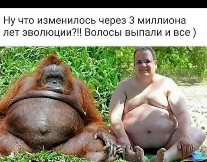 � ���� �� ��������?