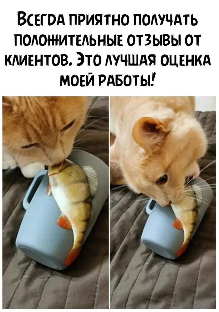 To bite or not to bite? That is the question! - cat, Kus, Don't bite, Picture with text, A fish, Кружки, Perch, Milota, Mug with decor