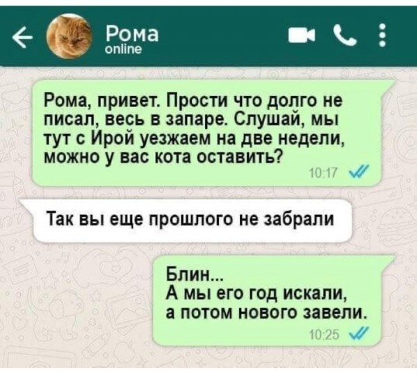 �������� ����