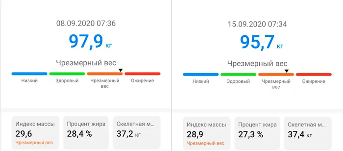 Цель 85 кг, часть №4 от 15.09.2020 - Моё, Похудение, Дневник, Спорт, Бег, ЗОЖ, Мотивация, Ходьба, Длиннопост