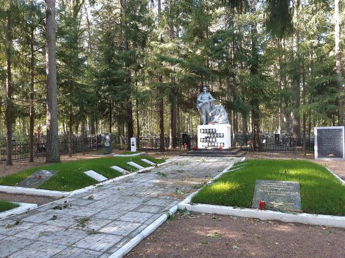 Urban village Lebyazhye. Several monuments, including the Il-2 attack aircraft - My, Monument, Lebyazhye, The photo, Leningrad region, Walk, Longpost