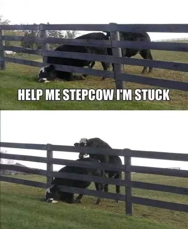 Help me step cow, I'm stuck - Porn, Animals, Humor