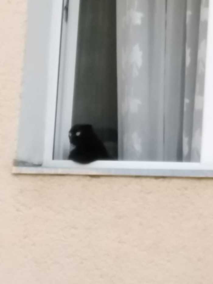 ������, �� ��� ������. ������ ����