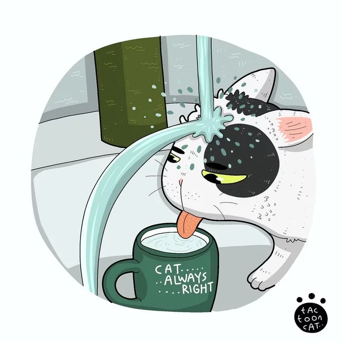 Котозарисовки - Арт, Рисунок, Кот, Tactooncat, Видео, Длиннопост