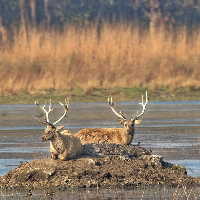 �������� � ��� ����� �������� �� ����� ��������