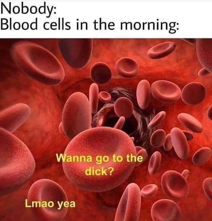 Nobody:... - Blood, Penis, Morning, Riser, Memes