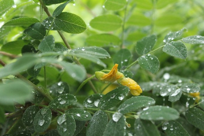 Когда незаметно теряешь свое богатство