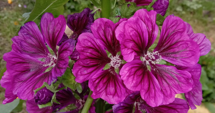 Осеннее | Пикабу