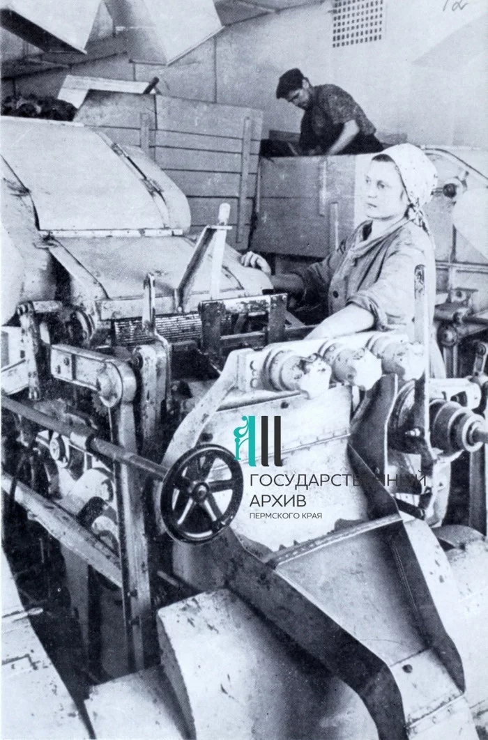 Истории одного завода. Здесь делали «Астру» и «Приму», а с трех зарплат работники могли купить машину Пермь, Астры, Прима, История, Длиннопост