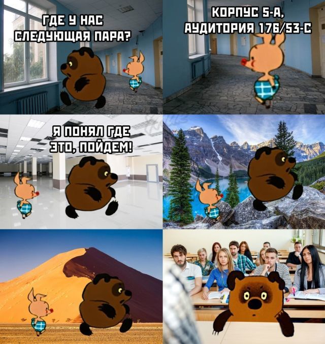 students - Memes, Picture with text, Cartoons, Piglet, Students, Lecture hall, Winnie the Pooh, University, , Bauman Moscow State Technical University
