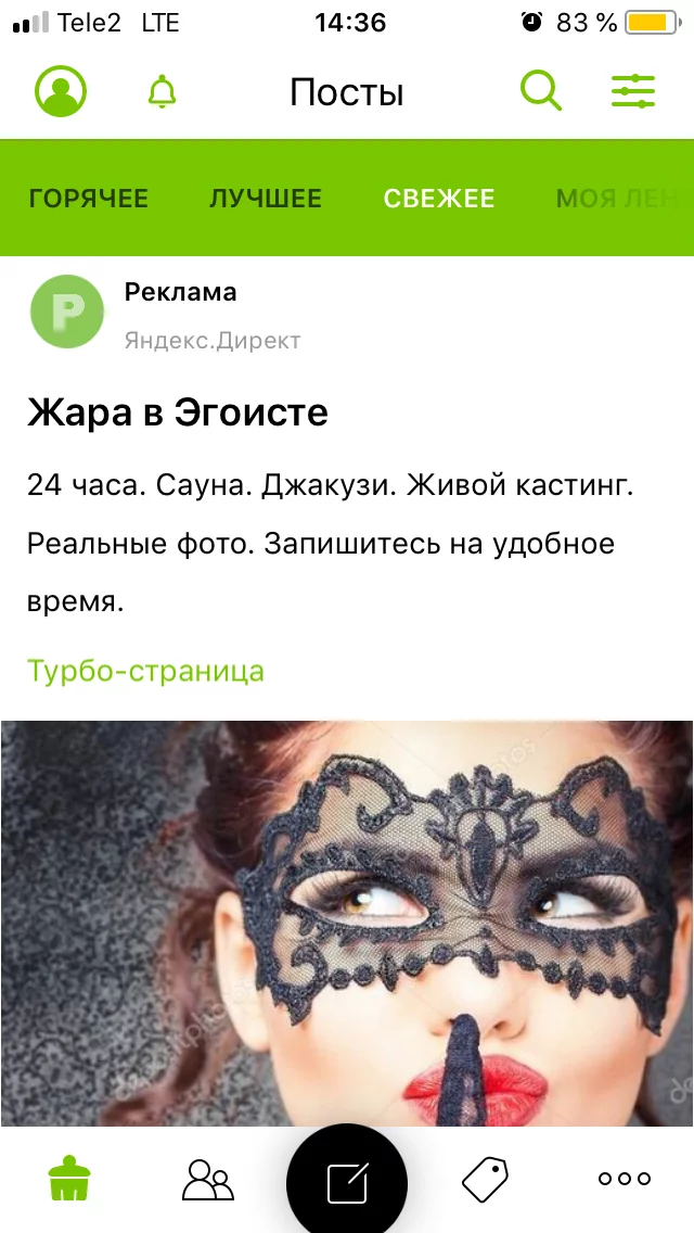 Advertising for Yandex squirrels on Pikabu - My, Advertising, Advertising on Peekaboo, Yandex Direct, Screenshot