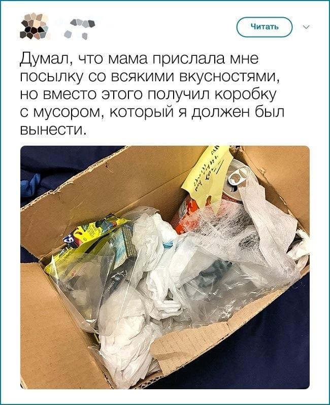 Месть, это блюдо, которое подают холодным - Месть, Мусор, Twitter, Скриншот