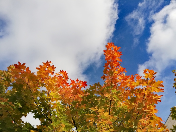 �����, ������� �� �������