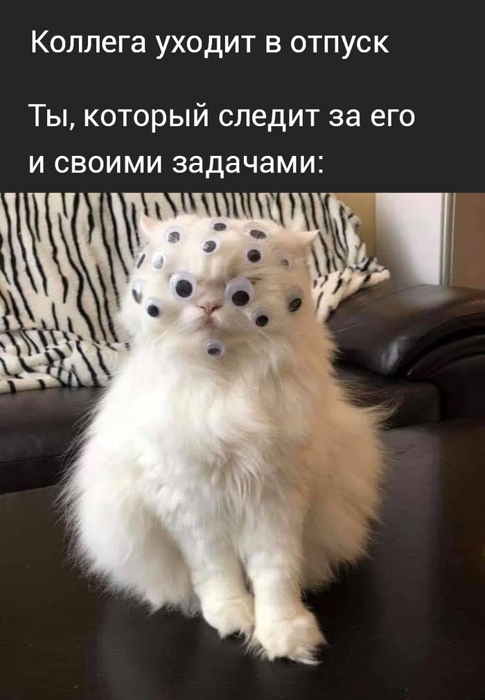 ����� ������� � �������