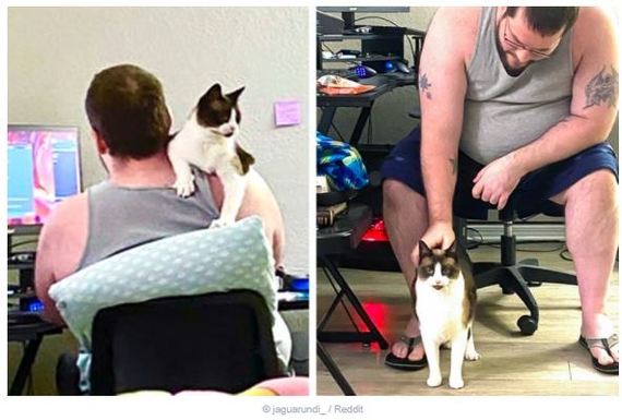 “Last week, all of Dad’s cats were stupid, but now “the smart girl loves to be held on the right shoulder, not the left.” - cat, Father, It Was-It Was, Reddit, The photo, Pets