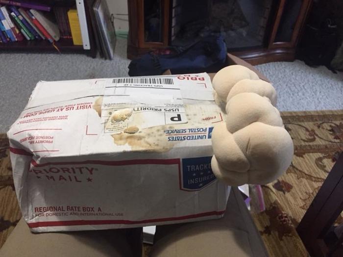 It took 2 months to receive this mushroom growing kit due to a missing form on the packaging. He arrived like this - mail, Package, USA, Mushrooms, Kit, Sprout, Mycelium, Package, , Reddit