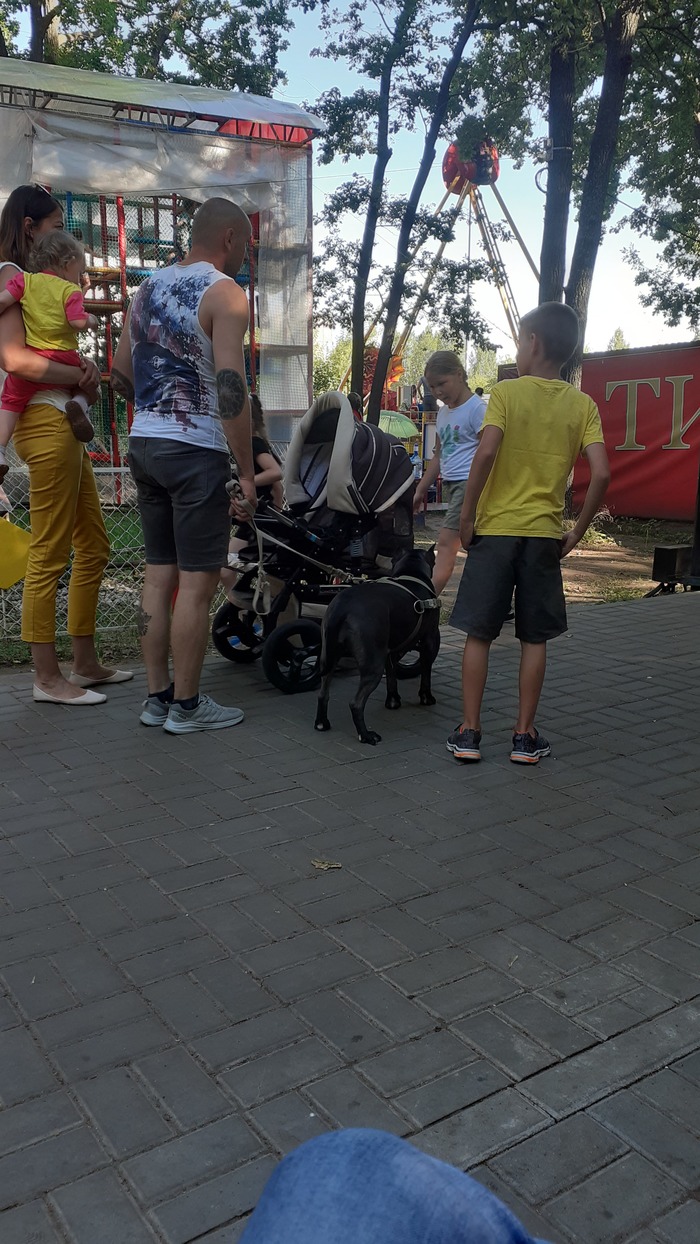 Собаки в намордниках люди в намордниках так и до нас доберутся. Смотреть фото Собаки в намордниках люди в намордниках так и до нас доберутся. Смотреть картинку Собаки в намордниках люди в намордниках так и до нас доберутся. Картинка про Собаки в намордниках люди в намордниках так и до нас доберутся. Фото Собаки в намордниках люди в намордниках так и до нас доберутся Собаки в намордниках люди в намордниках так и до нас доберутся. Смотреть фото Собаки в намордниках люди в намордниках так и до нас доберутся. Смотреть картинку Собаки в намордниках люди в намордниках так и до нас доберутся. Картинка про Собаки в намордниках люди в намордниках так и до нас доберутся. Фото Собаки в намордниках люди в намордниках так и до нас доберутся