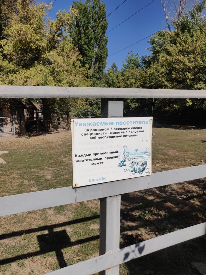 ������ ������� �����