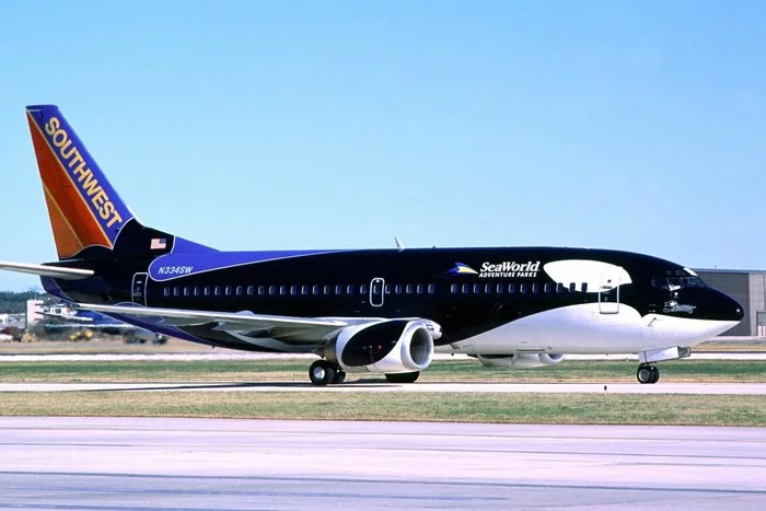 killer whale - Boeing 737, Southwest airlines, Killer whale