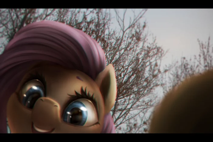 Wow! Camera! - My little pony, Fluttershy, Ventious