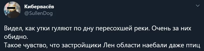 In the wilds of strangers near the sacred water - Twitter, Duck, River, Leningrad region, Mat, X (Twitter)