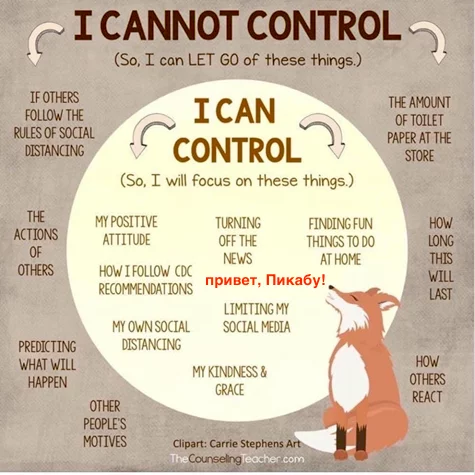Constant control and anxiety - My, Control, Total control, Experiences, Positive, No need for hell, Fox, Motivation