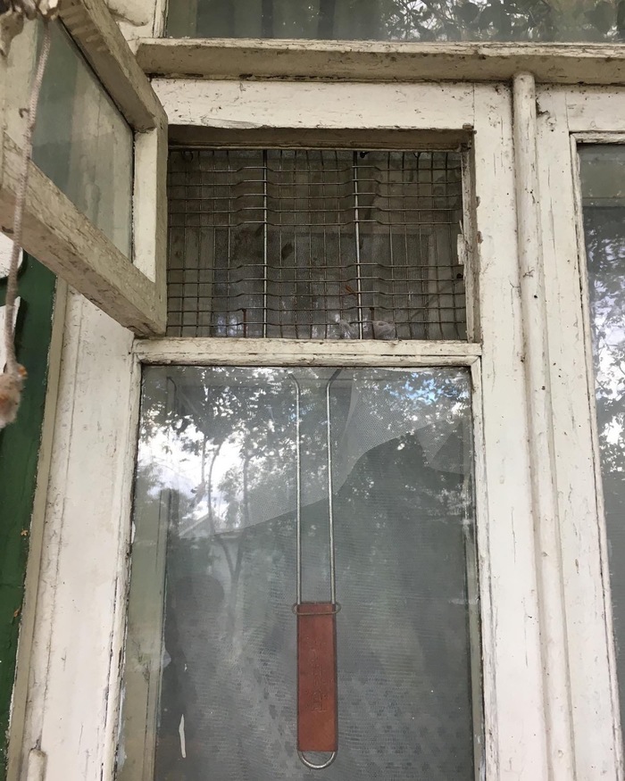 От шмелей и мышей, видимо