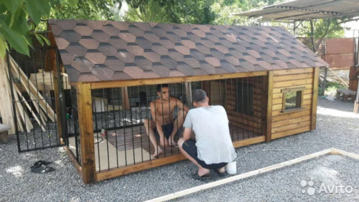    , , 