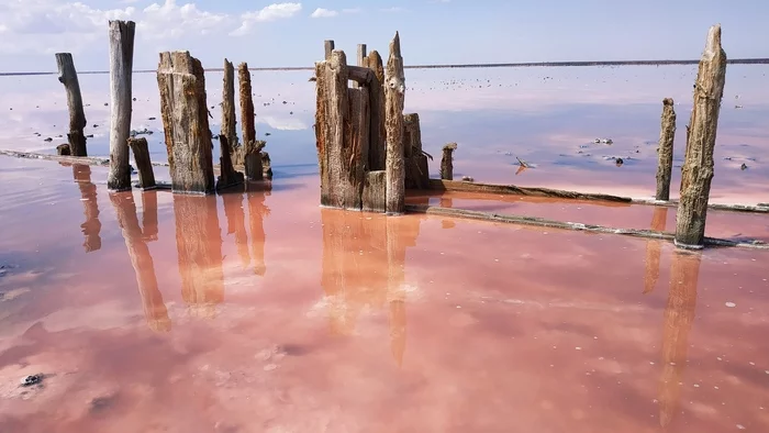 Pink lake. Walk - My, Salt Lake, Photo on sneaker, Arabat Arrow, Longpost