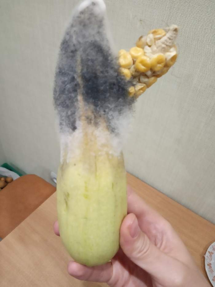    ,  , , , , , , 