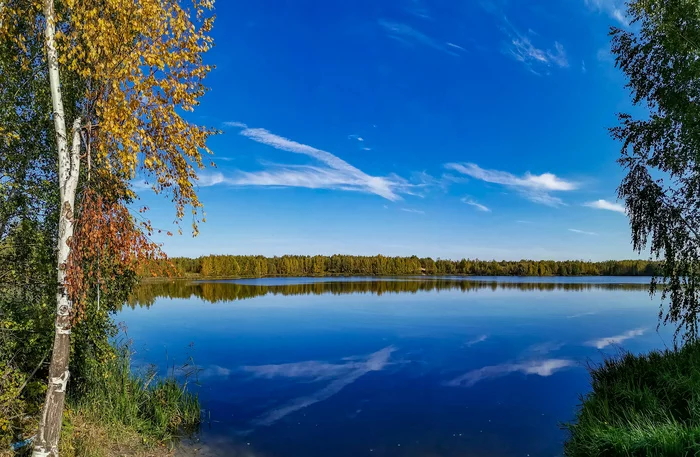 Indian summer - My, The photo, Nature, Indian summer, Autumn, Huawei mate 20, Canon 800D, Video, Longpost