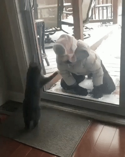   &quot;&quot;
