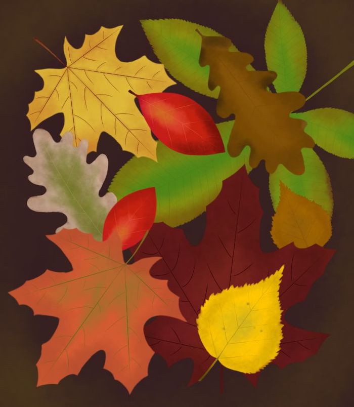 Autumn mood - My, Digital drawing, Autumn, Autumn leaves