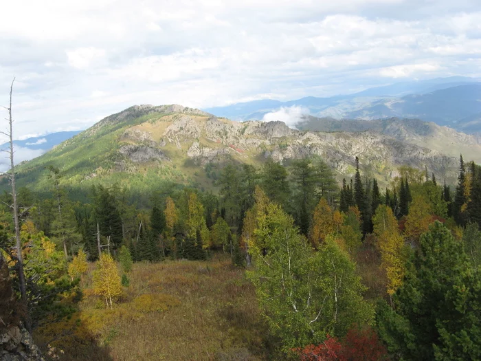 Autumn colors of Altai - My, The photo, Nature, The nature of Russia, Altai Republic, The mountains, Autumn