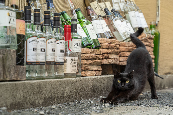 Потягушеньки