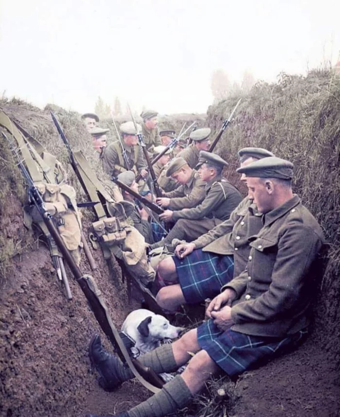 Four troopers and a dog. Infantry version - World War I, trench life