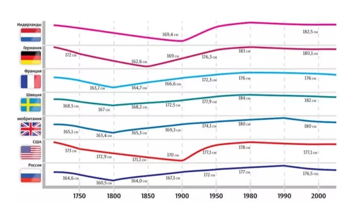 How has the average height of a person changed throughout history? - Interesting, Growth, People