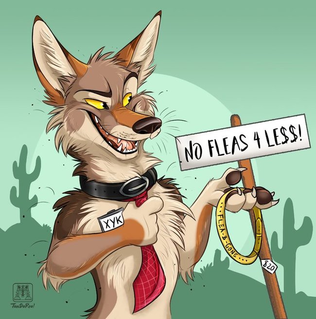 Traveling salesman - Coyote, Tout, Collar, Fleas, Furry, Tanidareal, Art