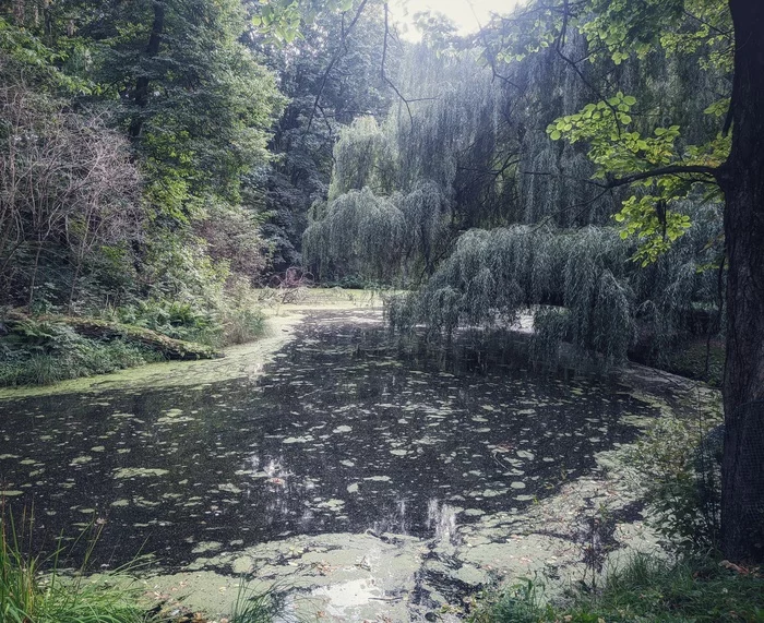 Warsaw Skaryszewski Park named after Ignacy Jan Paderewski - My, Mobile photography, Warsaw, The park, Longpost